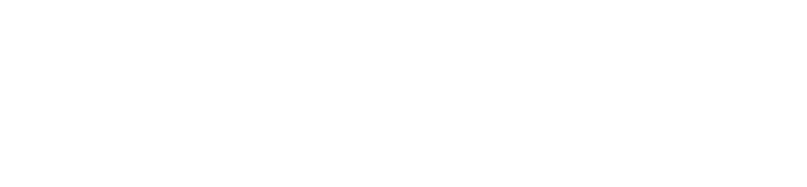 indelav logotipo blanco 2026